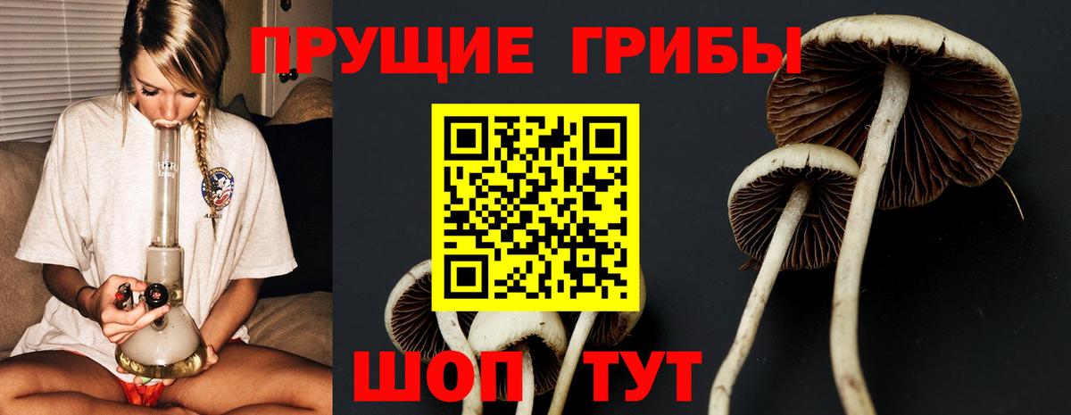 Краснодар  Псилоцибиновые грибы Magic Shrooms  Галлюциногенные грибы мицелий  Вход с VPN 