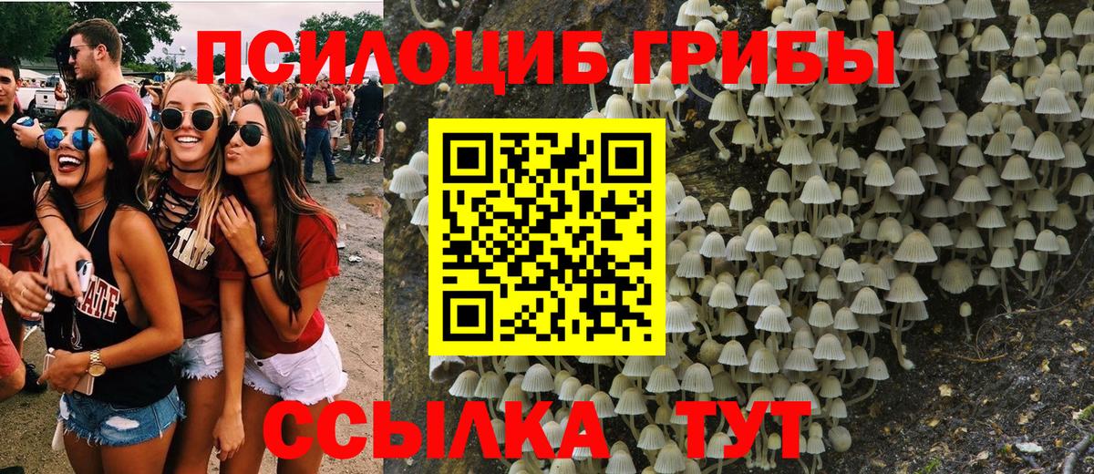 Галлюциногенные грибы Cubensis Краснодар